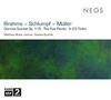 Brahms / Martin Schlumpf / Matthias Muller - Chamber Works