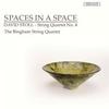 David Stoll - String Quartet No.4 Spaces in a Space