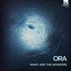 Many are the Wonders: Renaissance gems and their reflections Vol.2 - Tallis