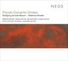 Mozart & Mueller - Piccolo Concerto Grosso