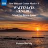 New Zealand Guitar Music Vol.3: Bruce Paine - Waitemata Reverie