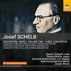 Schelb - Orchestral Music Vol.2: 3 Concertos