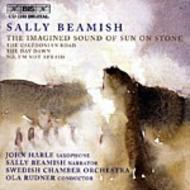 Beamish  The Imagined Sound of Sun on Stone