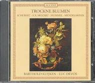 Trockne Blumen: Flute Music from the 19th Century