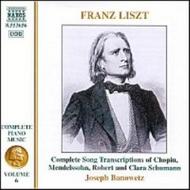 Liszt - Complete Piano Music vol. 6 | Naxos 8553656