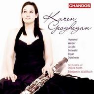 Karen Geoghegan: Bassoon Concertos | Chandos CHAN10477