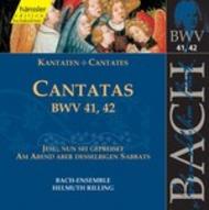 J S Bach - Cantatas Vol.14 (BWV 41,42)