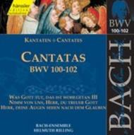 J S Bach - Cantatas Vol.32 (BWV 100,101,102) | Haenssler Classic 92032