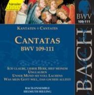 J S Bach - Cantatas Vol.35 (BWV 109,110,111)