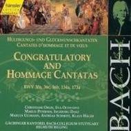 J S Bach - Congratulatory and Hommage Cantatas