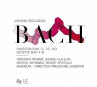 J S Bach - Cantatas, Motet