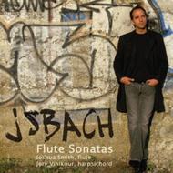 J S Bach - Flute Sonatas