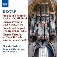 Reger - Organ Works Vol.10 | Naxos 8570960