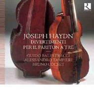 Haydn - Divertimenti for Trio | Ricercar RIC315