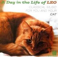 A Day in the Life of Leo: Classical Music for You and Your Cat | Delos DE1616