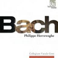 J S Bach - Philippe Herreweghe Complete Recordings | Harmonia Mundi HMX290863157
