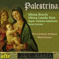 Palestrina - Missa Brevis, Missa Lauda Sion, 2 Motets | Alto ALC1178