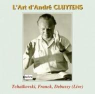 The Art of Andre Cluytens