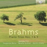 Brahms - Piano Trios Nos 1 & 3