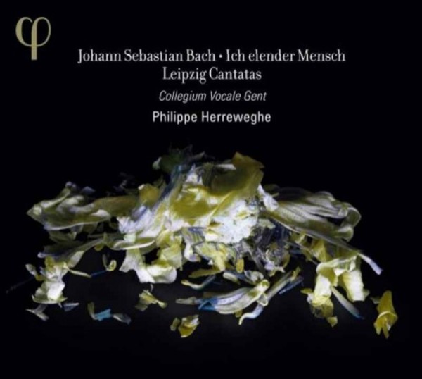 J S Bach - Ich elender Mensch: Leipzig Cantatas | Phi LPH012
