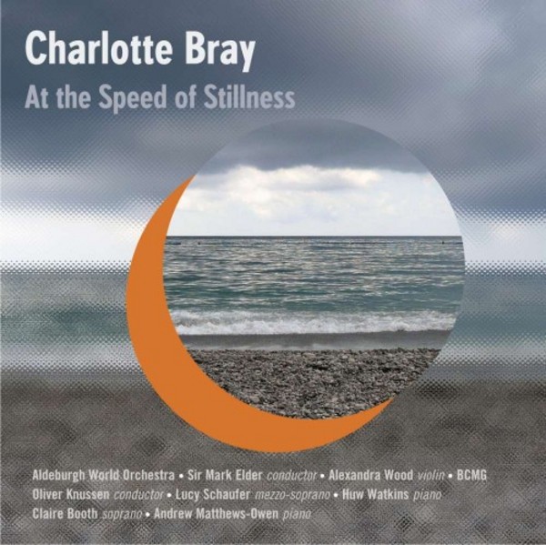 Charlotte Bray - At the Speed of Stillness