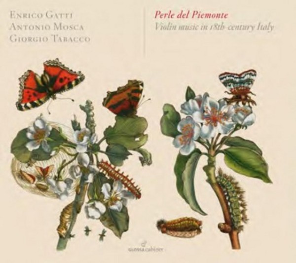 Perle del Piemonte - Violin Music in 18th-century Italy | Glossa - Cabinet GCDC80018