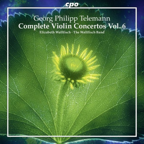 Telemann - Complete Violin Concertos Vol.6 | CPO 7777012