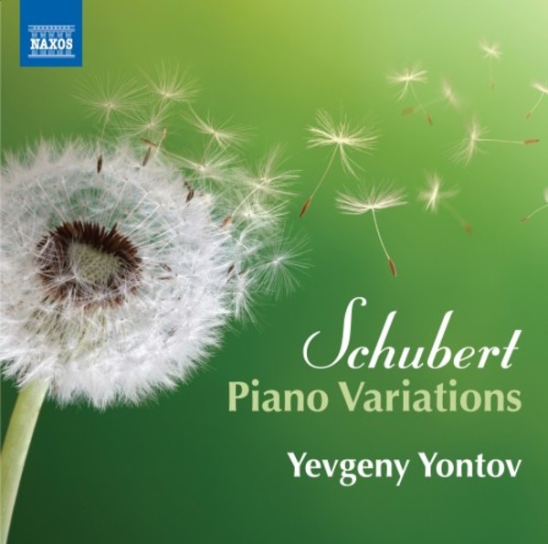 Schubert - Piano Variations | Naxos 8573707
