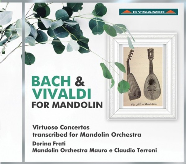 Bach & Vivaldi for Mandolin: Virtuoso Concertos transcribed for mandolin orchestra | Dynamic CDS7787