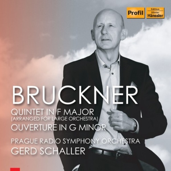 Bruckner - Quintet (arr. for orchestra), Overture in G minor