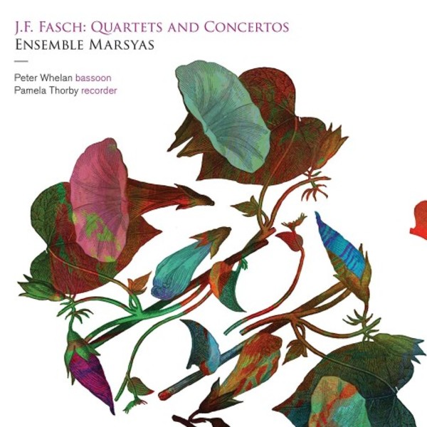 JF Fasch - Quartets and Concertos | Linn CKR467