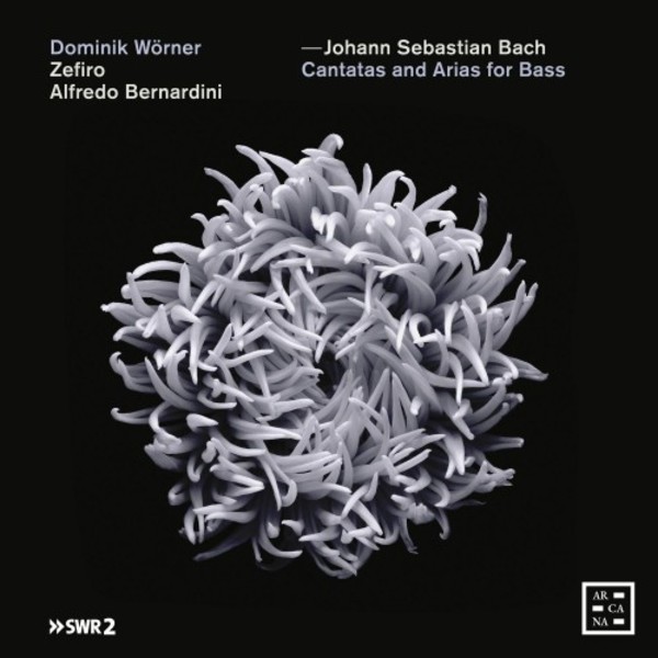 JS Bach - Cantatas and Arias for Bass