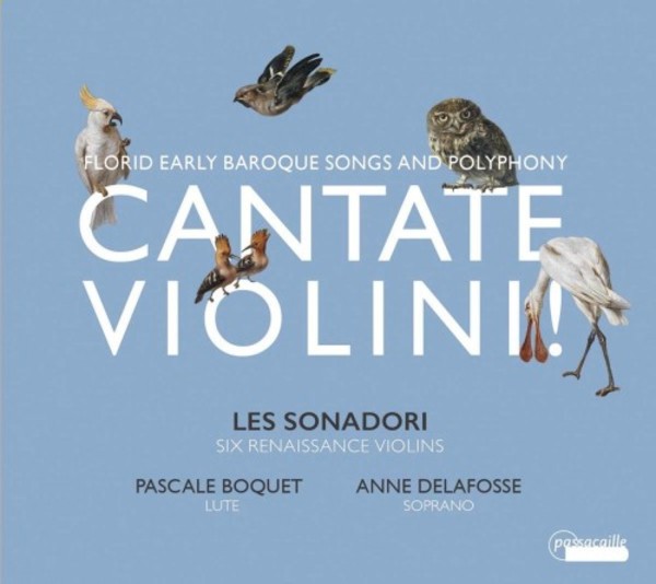 Cantata Violini: Florid Early Baroque Songs and Polyphony | Passacaille PAS1056