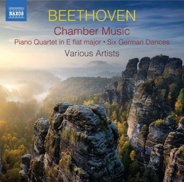 Beethoven - Chamber Music