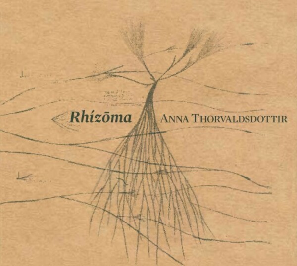 Thorvaldsdottir - Rhizoma