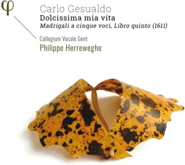 Gesualdo - Dolcissima mia vita: Fifth Book of Madrigals