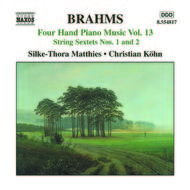 Brahms - 4 Hand Piano Music 13 | Naxos 8554817