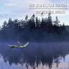 Sibelius Edition Vol.8: Orchestral Works (not Symphonies)