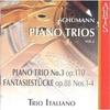 Schumann - Piano Trios vol.2