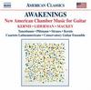 New American Chamber Music for Guitar
