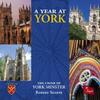A Year at York