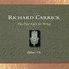 Richard Carrick - The Flow Cycle for Strings
