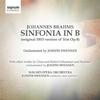 Brahms / Schumann / C Schumann - Chamber Work Orchestrations