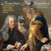 Neapolitan Flute Concertos Vol.2