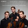 Beethoven - String Trio, Serenade