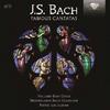J S Bach - Famous Cantatas