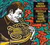 Radek Baborak: Orquestrina