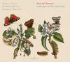 Perle del Piemonte - Violin Music in 18th-century Italy