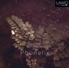 Lars Lien: Phonetix