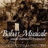 Baba Musicale: Count Harrachs Treasures